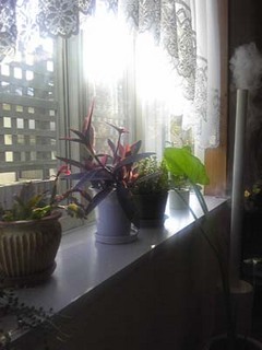 101121_145937a.jpg