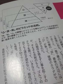 110109_203226a.jpg
