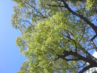 110221_135958a.jpg