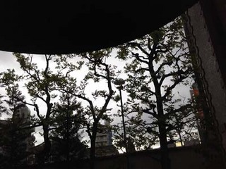 110428_172141a.jpg
