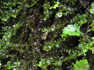 IMG_0310.JPG