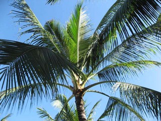 IMG_1671.JPG