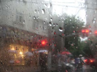 IMG_3065.JPG